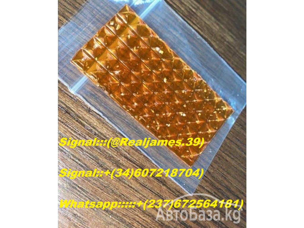 Buy Trippy Treats Magic Mushroom Chocolate Bars Online