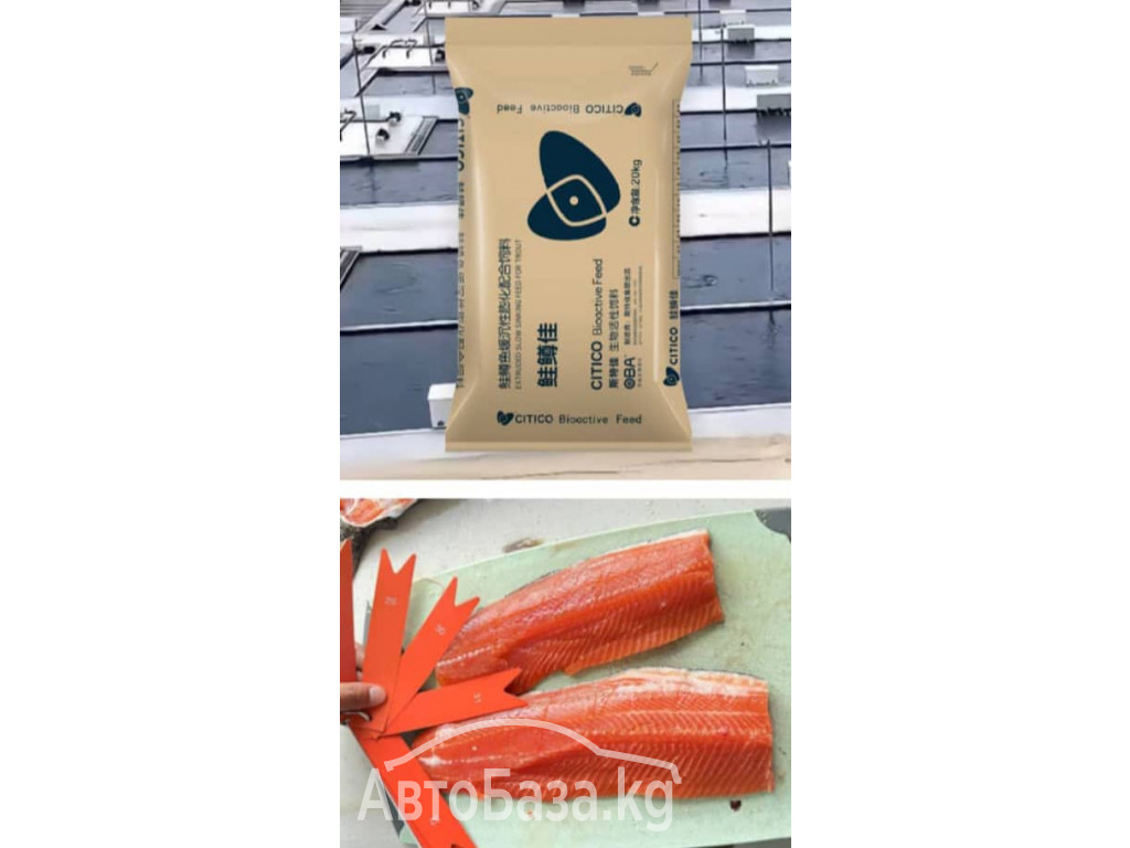 Корм для радужной форели "CITICO" 