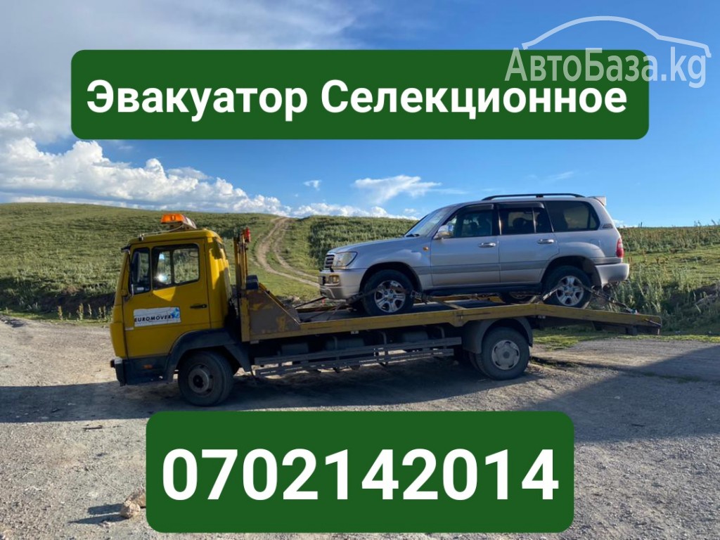 Услуги эвакуатора Селекционное 0702142014