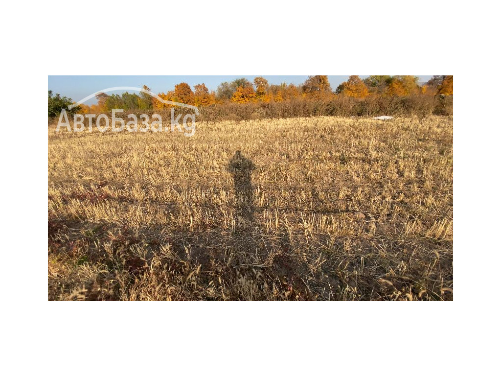 Срочно продается участок для сельско хозяйства. 1 га. Село Джал