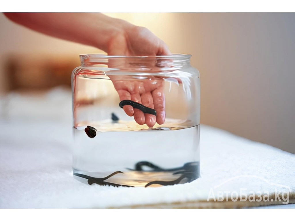 ВРАЧ - ГИРУДОТЕРАПЕВТ, СЕМЕЙНЫЙ ДОКТОР