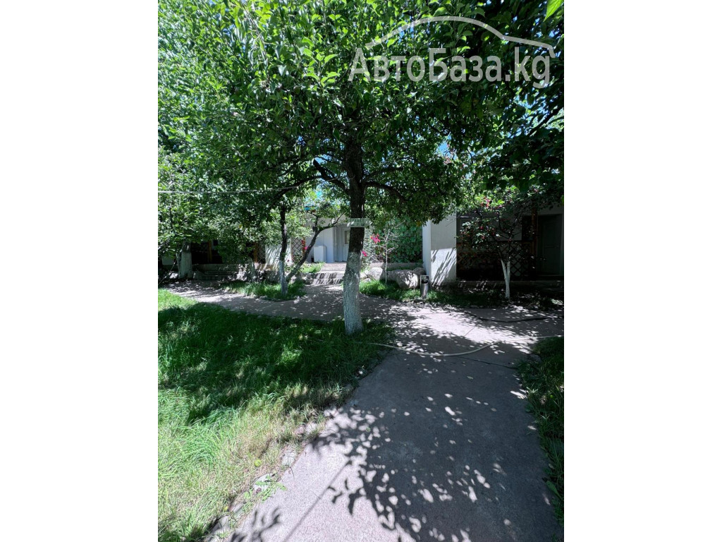 Отдых на Иссык Куле. Гостевой дом "Зелёный сад" 