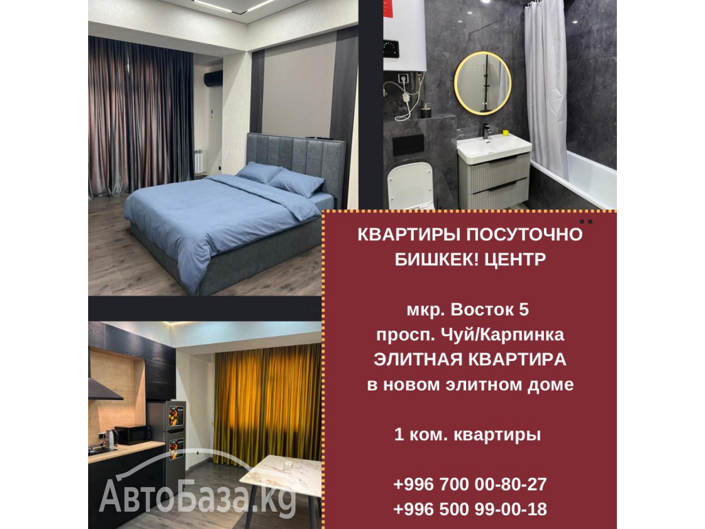 Элитные 1-комнатные квартиры посуточно в центре Бишкека