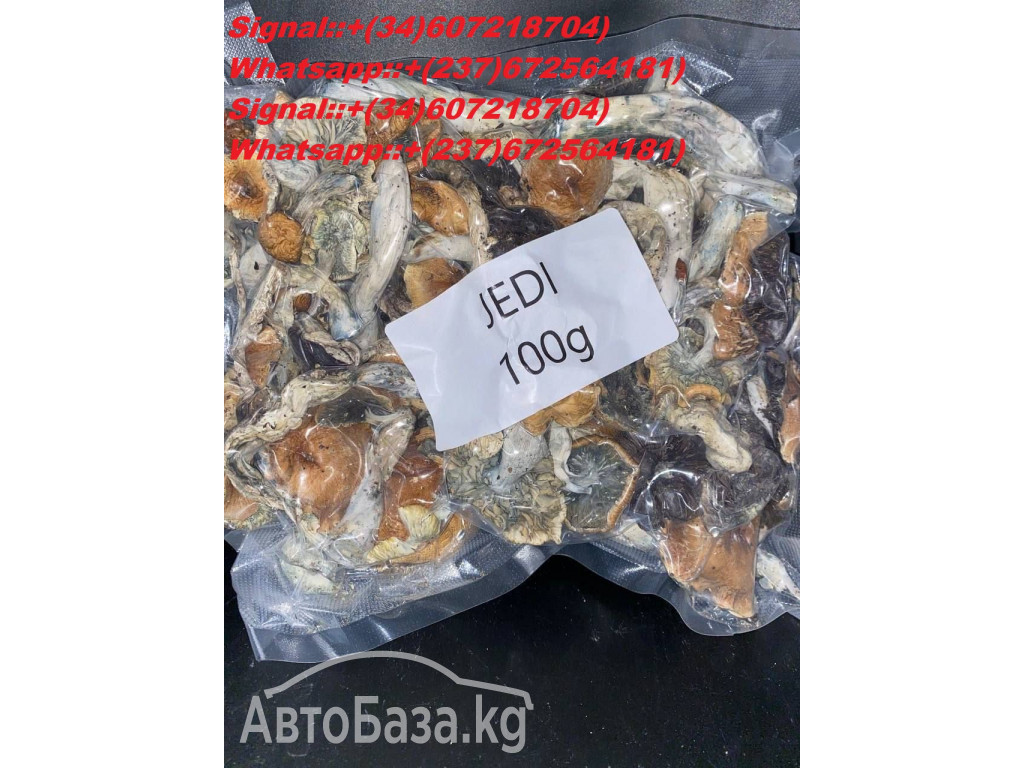 BUY Psylocibin,Penis,envy,Golden teacher,Cubensis SHROOMS