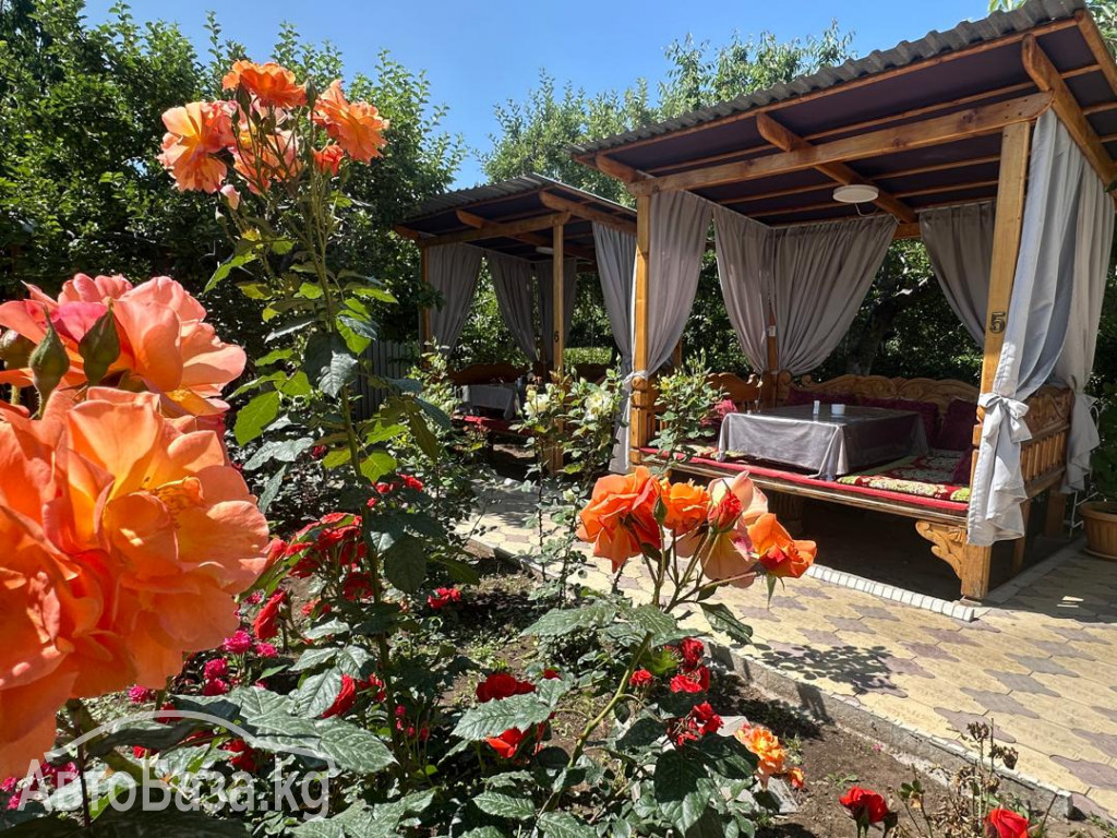 Отдых на Иссык Куле! Кафе "Мирсултан" 