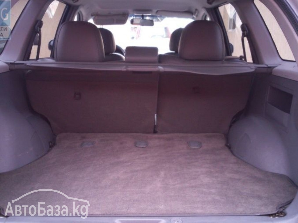 Hyundai Santa Fe 2004 года за ~732 800 сом