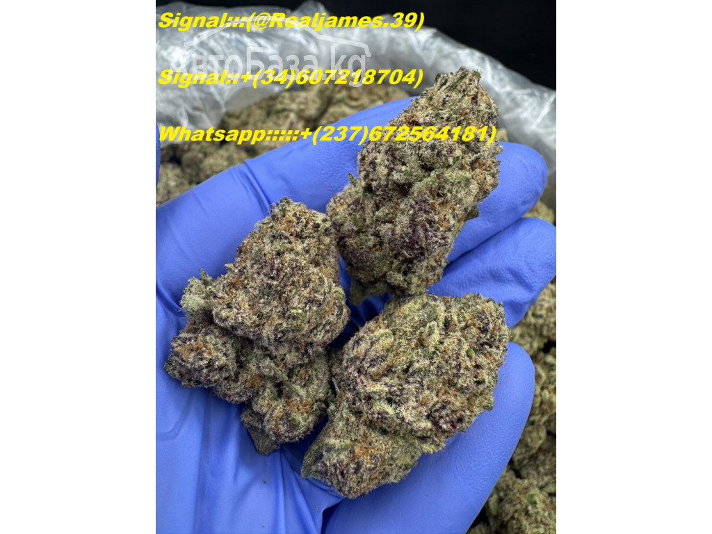 BUY WEED IN USA/BUY WAX IN UK/BUY SHROOMS IN AUSTRALIA