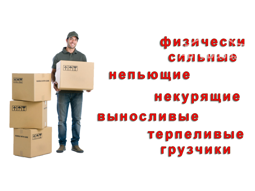 Доставка грузов по городу до 1,5 тонны 0776868855