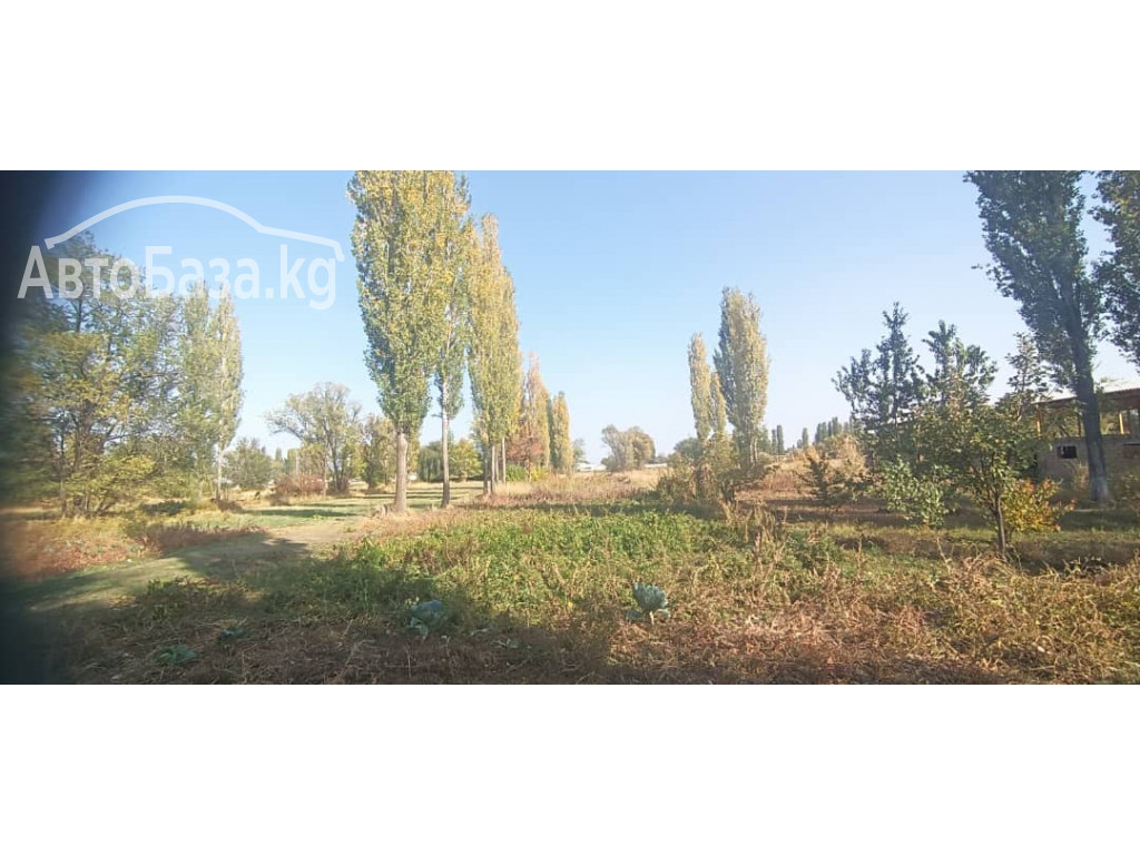 Продается дом 4 комнат, село Вознесеновка улица Пушкина 96