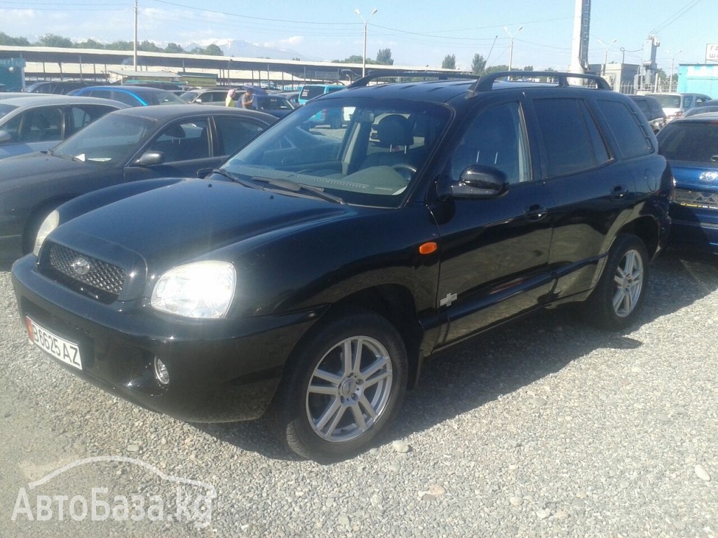 Hyundai Santa Fe 2003 года за ~527 300 руб.