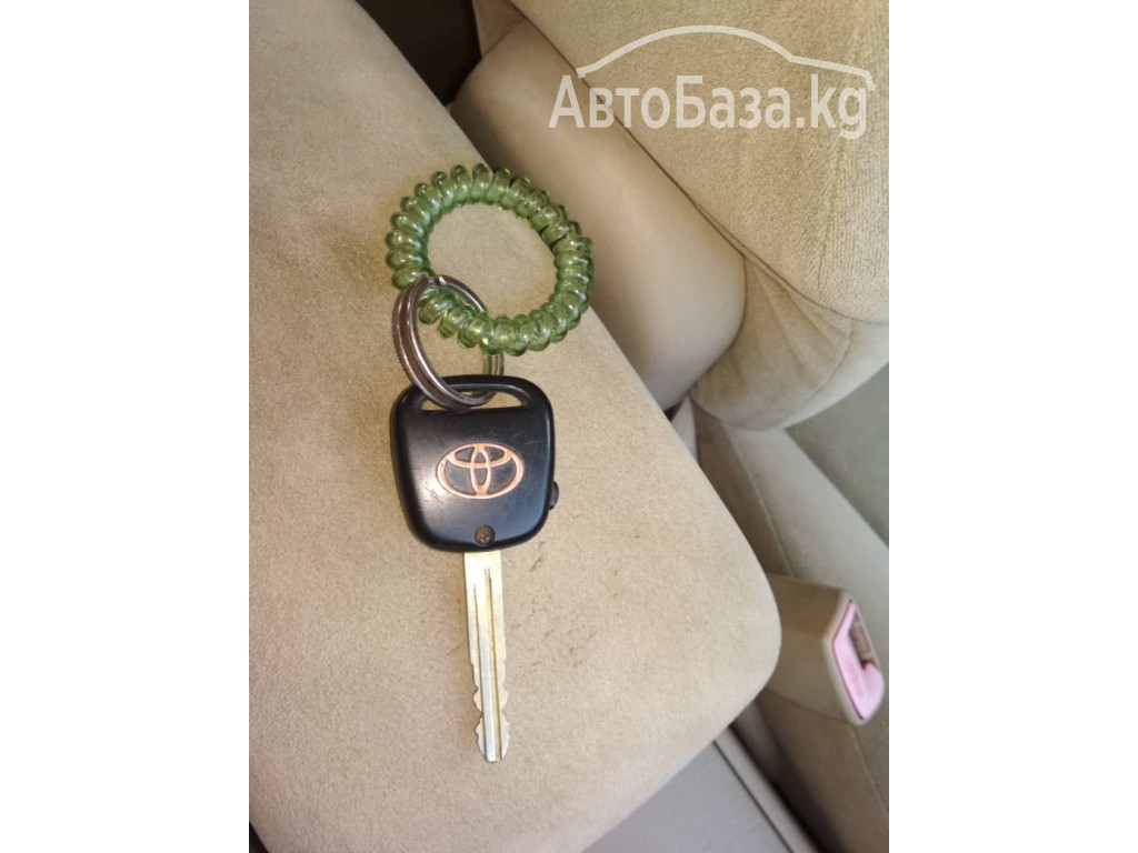 Toyota Allex 2004 года за ~456 900 сом