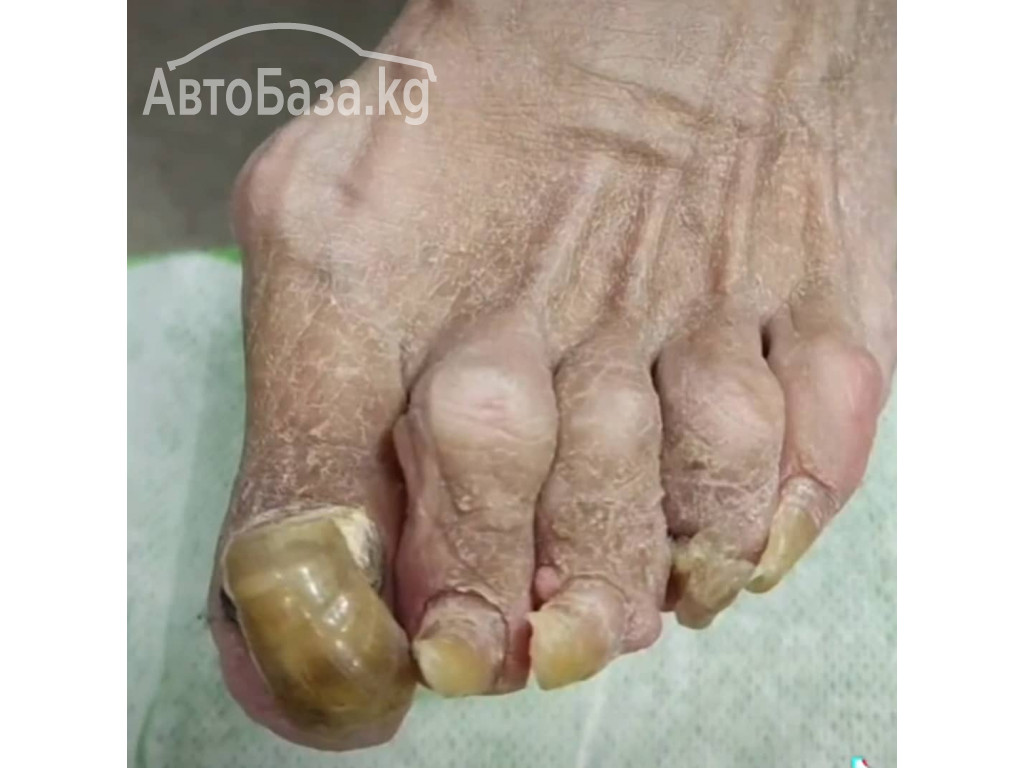 ПОДОЛОГ , Услуги Подолога