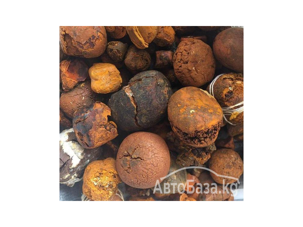Buy cow /Ox Gallstone Available On Stock Now @ (WhatsApp: +237673528224)hhh