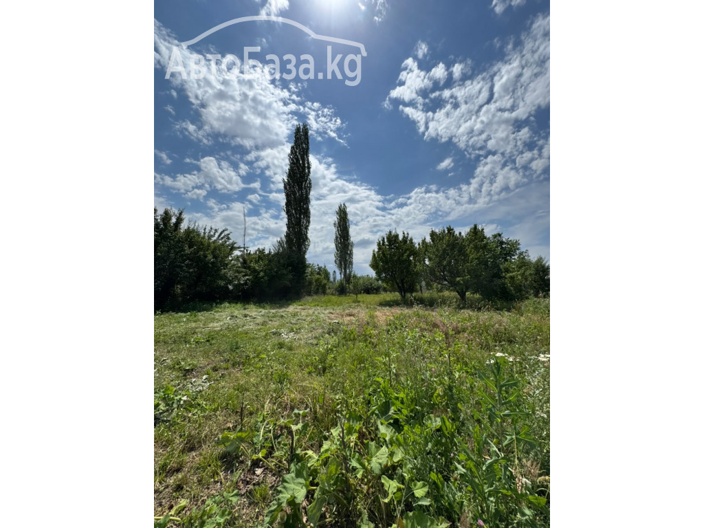 Продается участок в сокулукском районе. Село Шалта