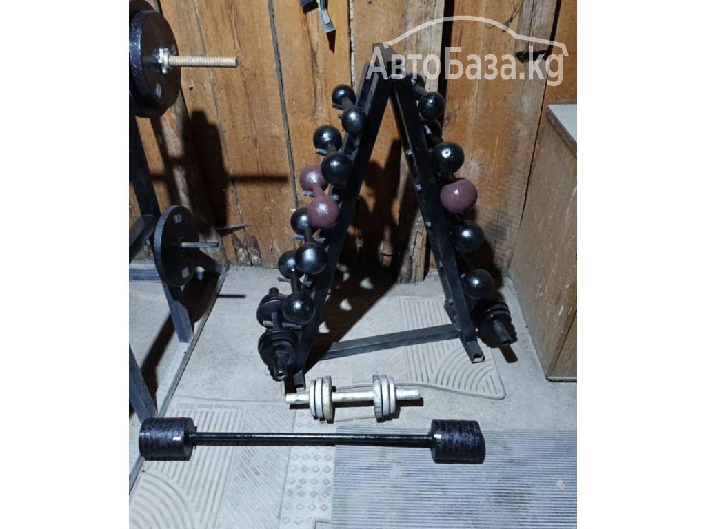 Продам тренажеры Спортивный арсенал: Гантели Штанги турник
