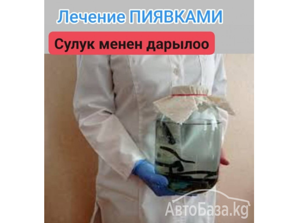 ВРАЧ - ГИРУДОТЕРАПЕВТ, СЕМЕЙНЫЙ ДОКТОР