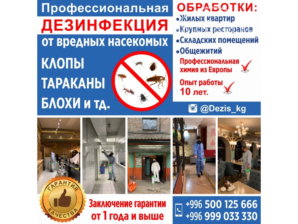 Профессиональная дезинфекция