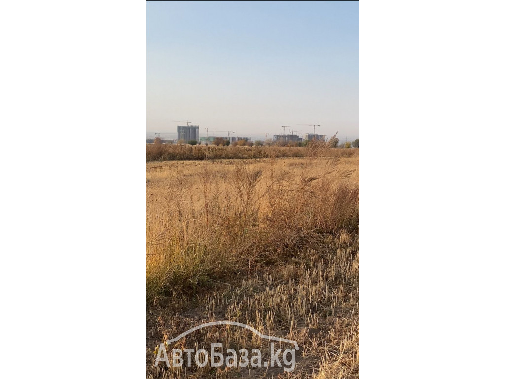 Срочно продается участок для сельско хозяйства. 1 га. Село Джал