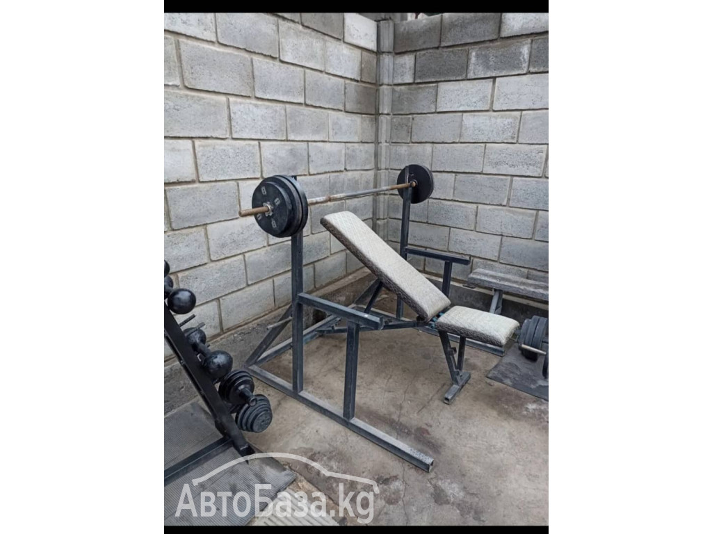 Продам тренажеры Спортивный арсенал: Гантели Штанги турник