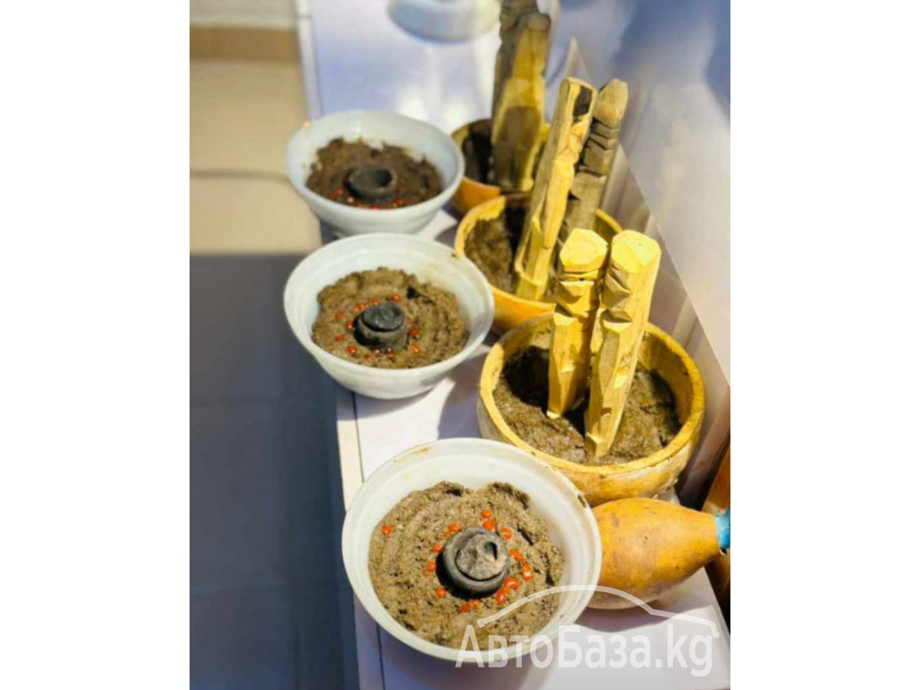 Ассенизатор Airman 2024