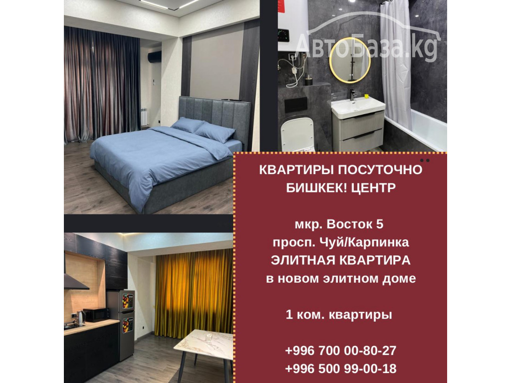 Элитные 1-комнатные квартиры посуточно в центре Бишкека