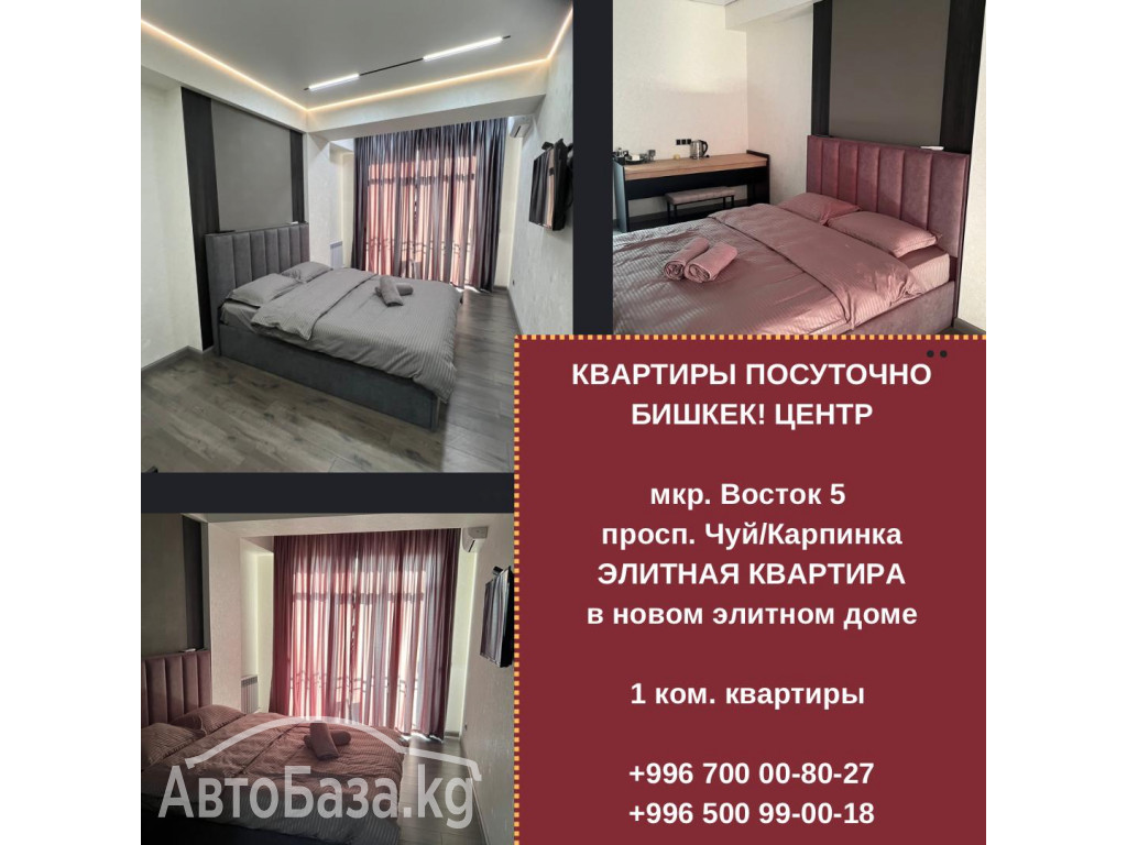 Элитные 1-комнатные квартиры посуточно в центре Бишкека