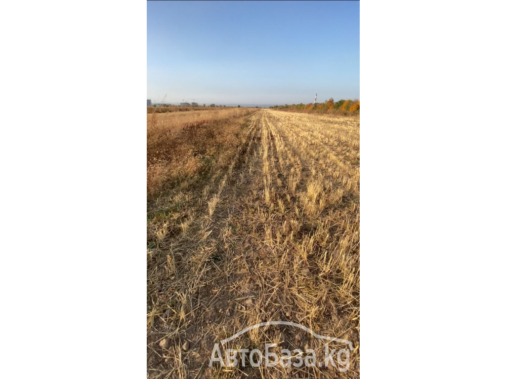 Срочно продается участок для сельско хозяйства. 1 га. Село Джал