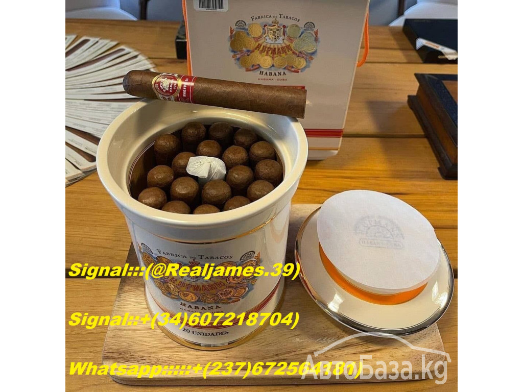 Buy Alprazolam,Cocaine, Diazepam, Farmapram,RohypnolTemazepam