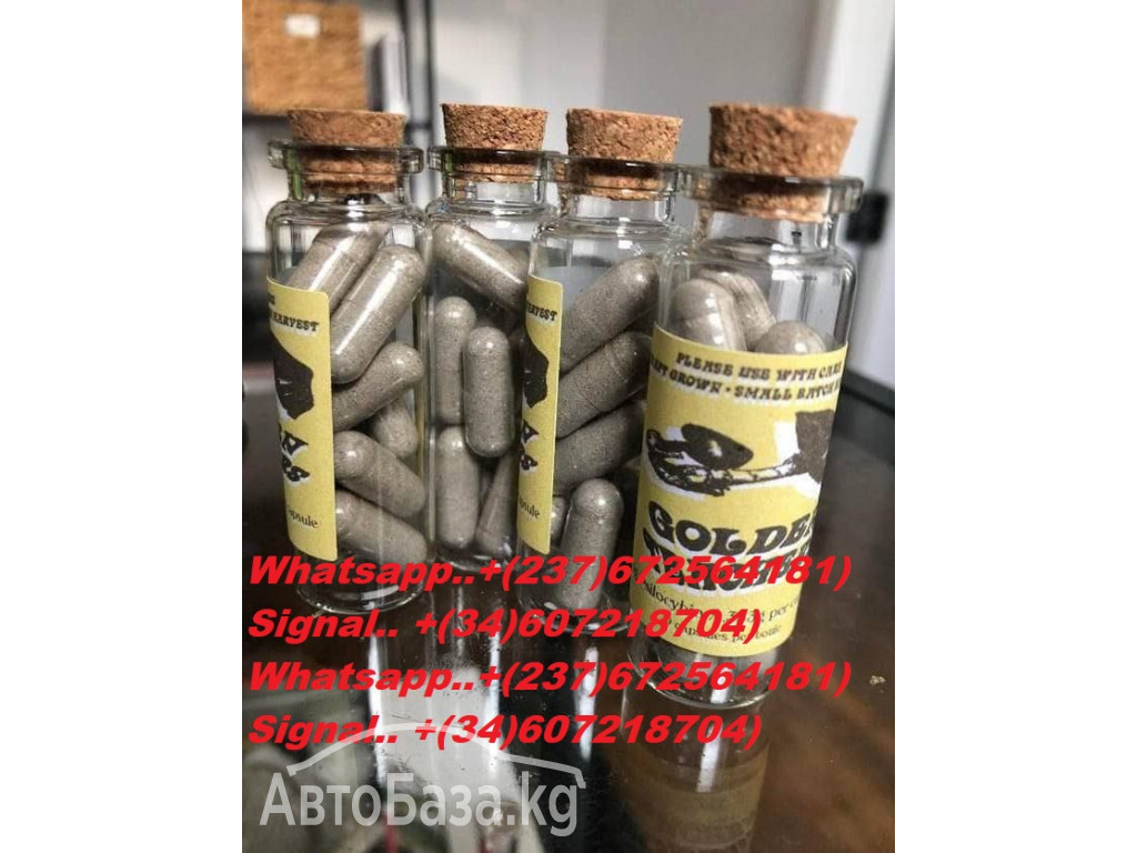 BUY PSILOCYBIN MUSHROOMS AND MICRODOSE MUSHROOMS GUMMIES