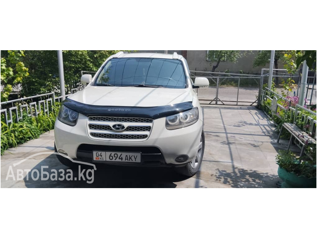 Hyundai Santa Fe 2009 года за 9 500$
