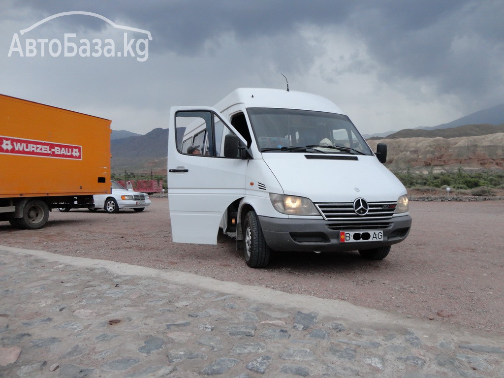 Ежедневные поездки На Иссык Куль на Mercedes Benz Sprinter