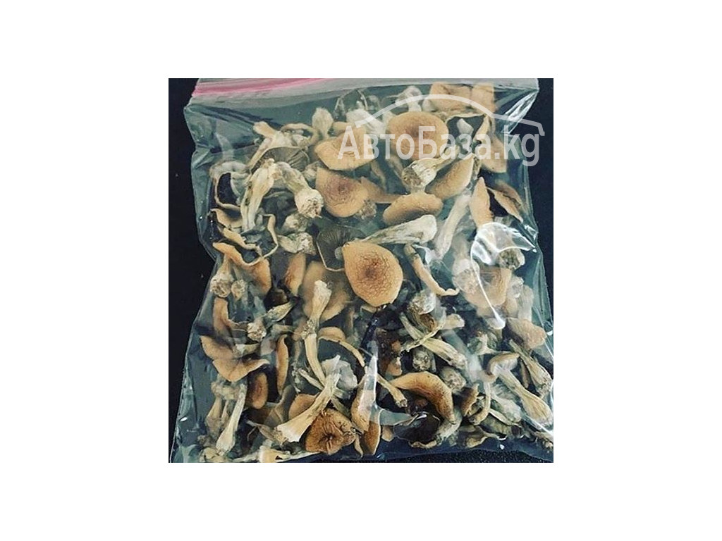 BUY WEED IN USA/BUY WAX IN UK/BUY SHROOMS IN AUSTRALIA