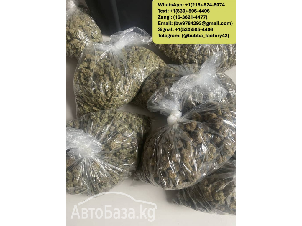 Buy Weed, Cocaine, Heroin and Shrooms in France, Germany, Poland 