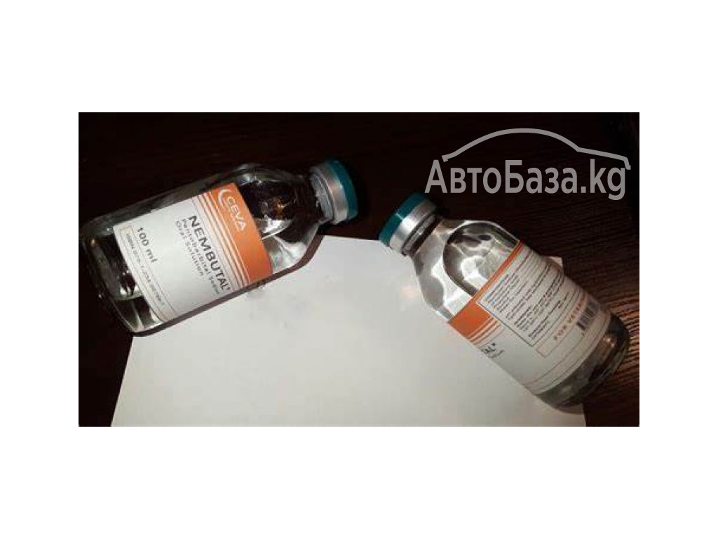    Nembutal Oral and injectables solution 50ml, 100ml and 250ml for sale