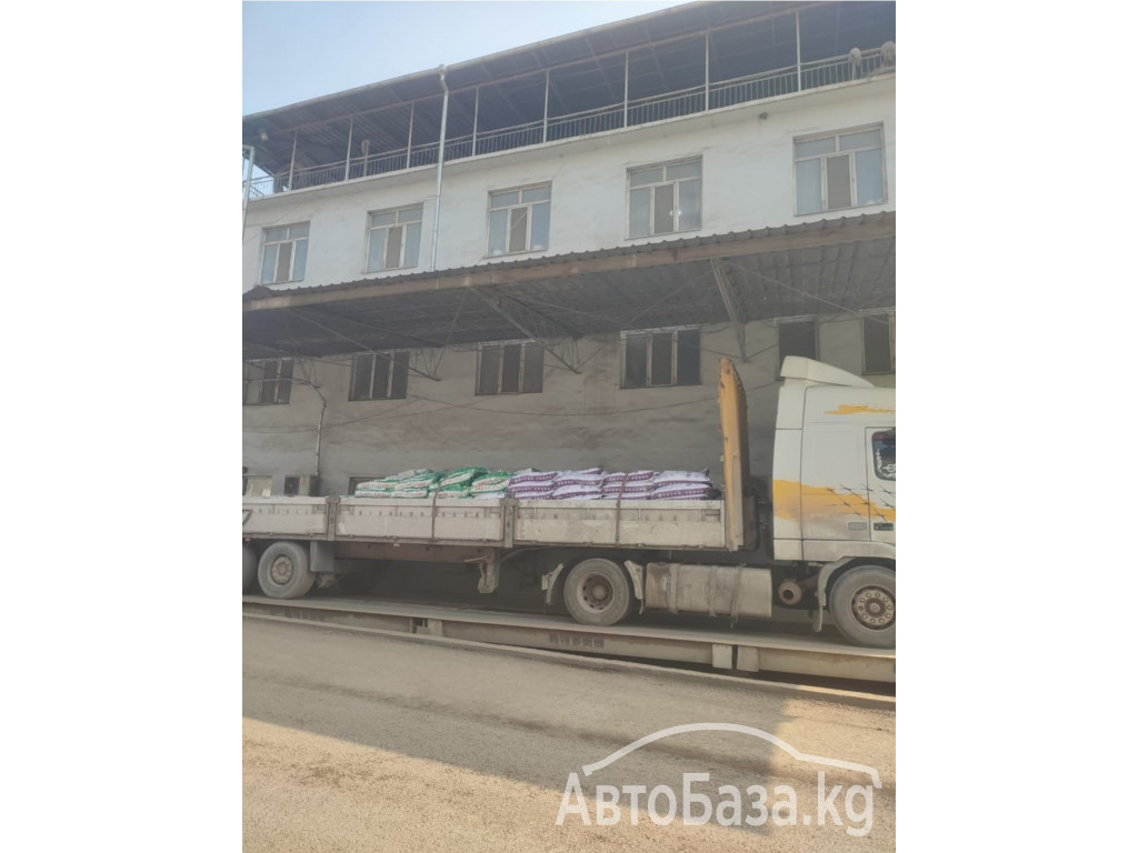Известь. Гипс. Алебастр. Цемент. Селитра.