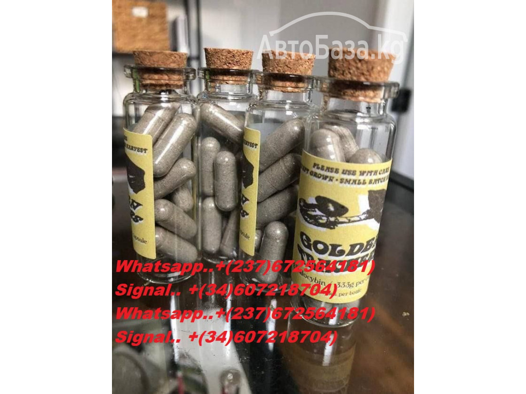 Buy Microdosing Psychedelics online/ BUY LSD AND LSD MICRODOSE KITS