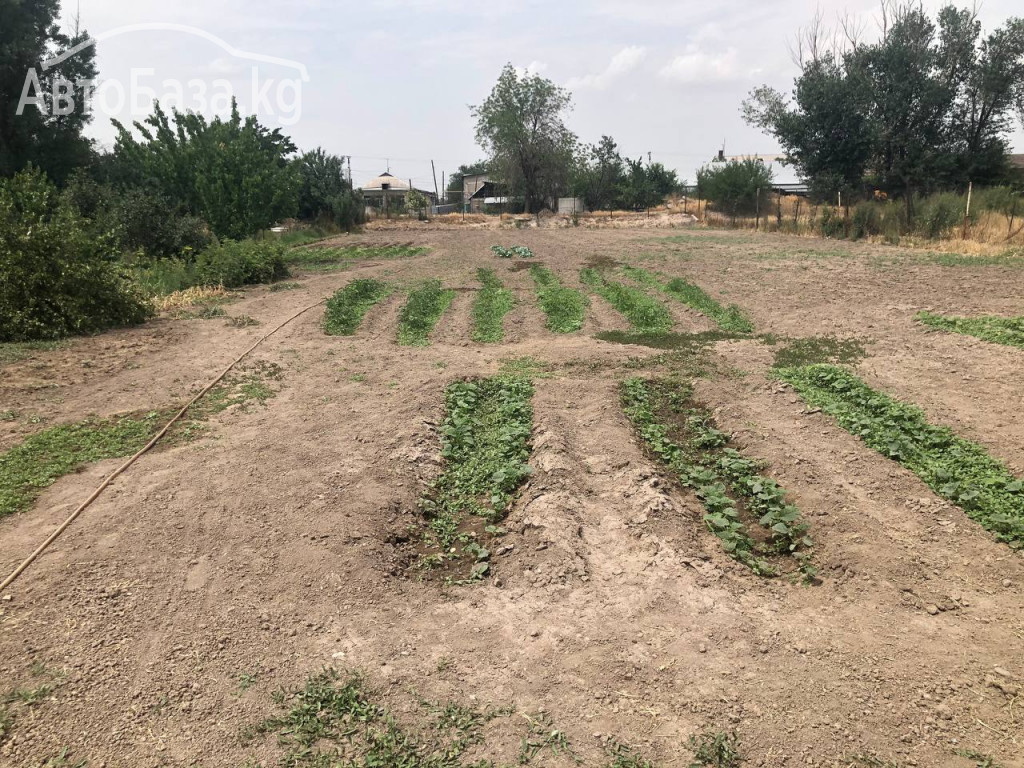 Продаётся дом в селе Ново-Покровка