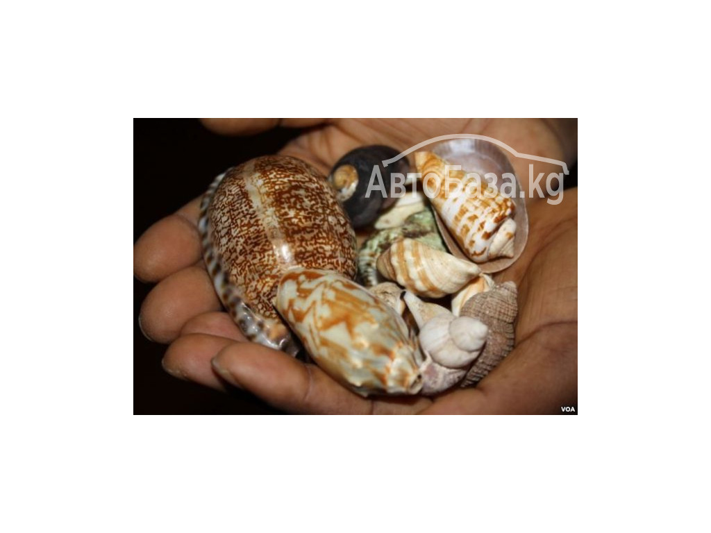 GET OUT OF JAIL SPELLS USA, + 256702530886WIN CHILD CUSTODY  SPELLS CASTER