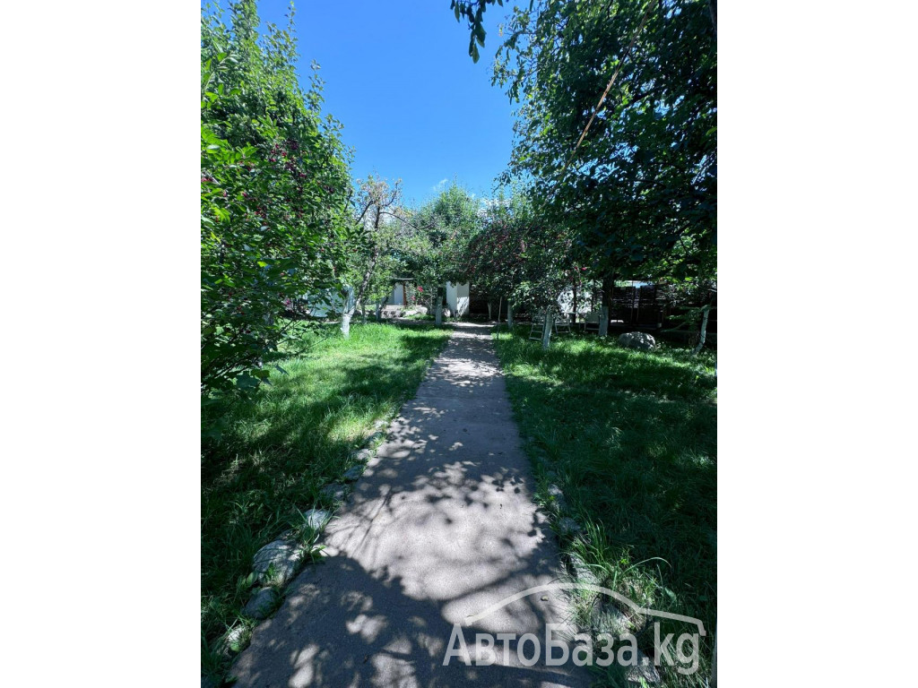 Отдых на Иссык Куле. Гостевой дом "Зелёный сад" 