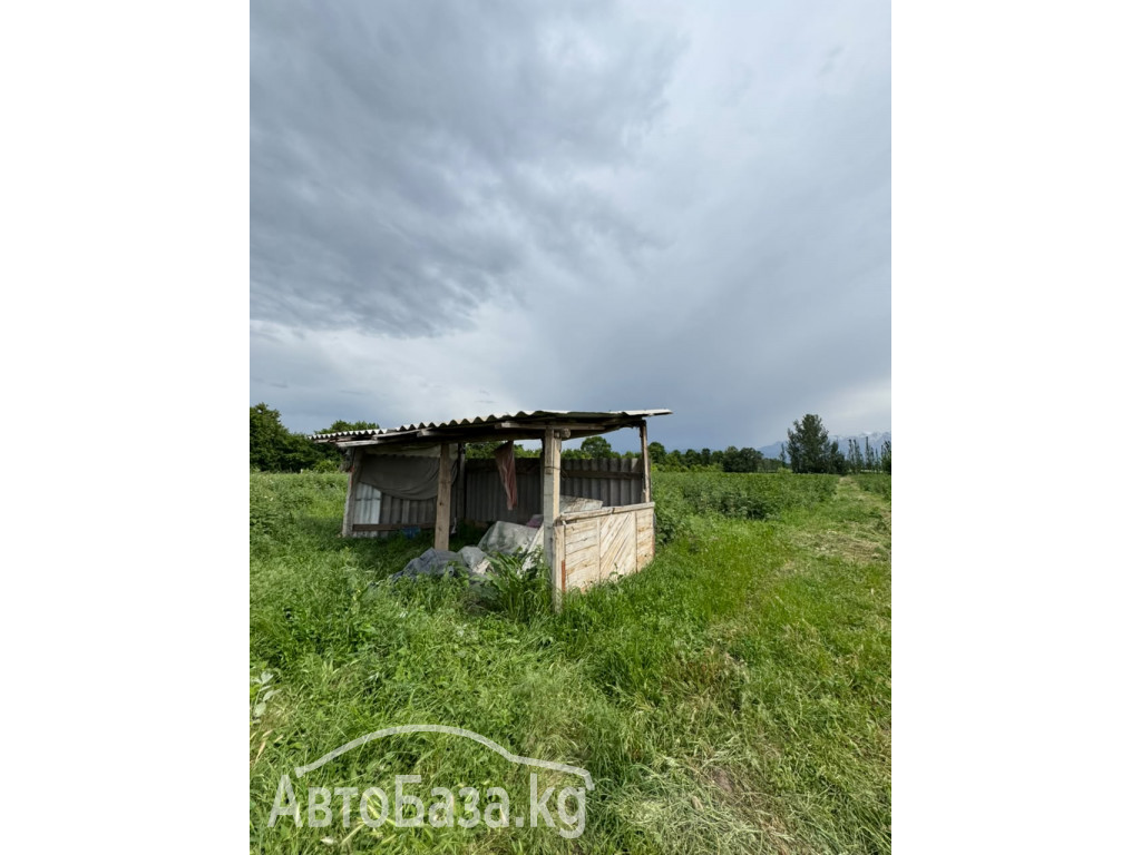 Срочно продается участок для сельско хозяйства. 1.55 га. Село Джал