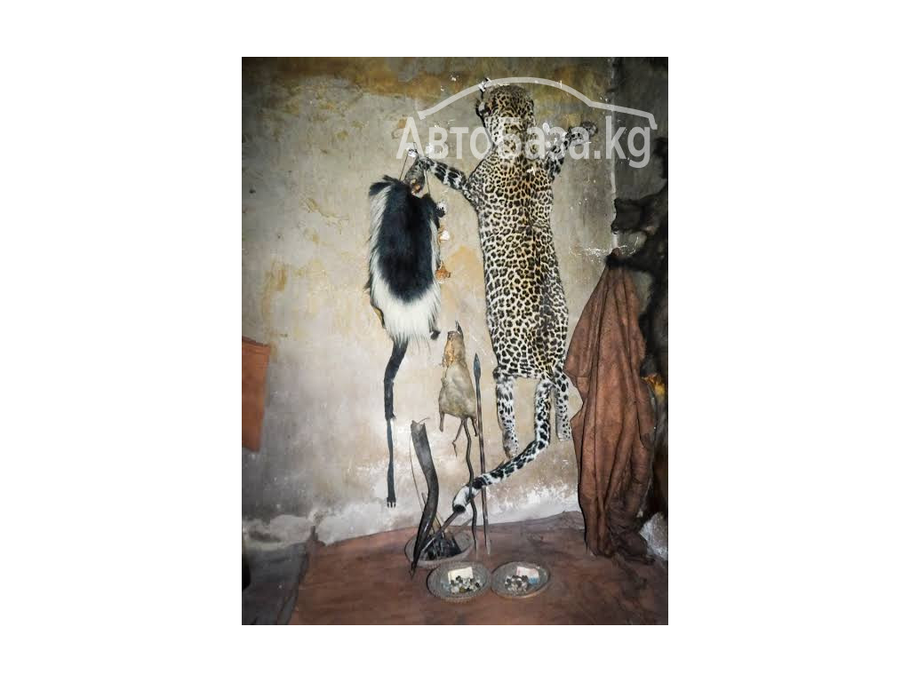 TRADITIONAL HEALER +27672740459 SANGOMA TO BRING BACK LOST LOVE SPELLS.