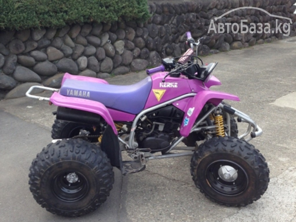 Квадроцикл Yamaha YF200 ATV 
