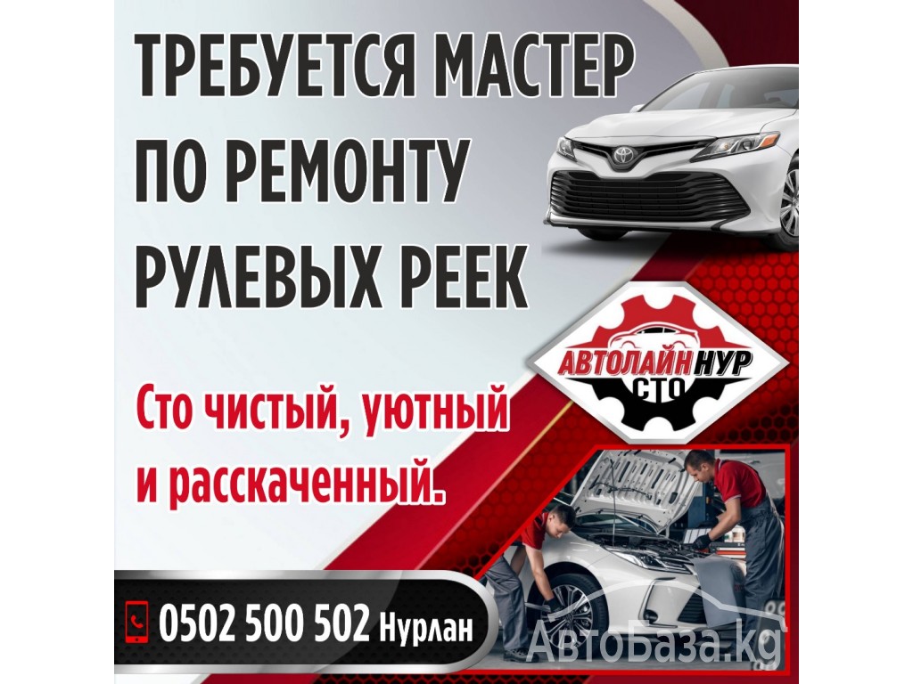 Требуется профессиональный мастер по ремонту автореек