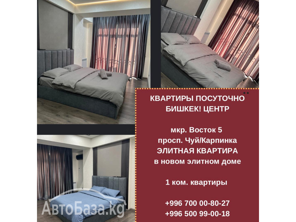 Элитные 1-комнатные квартиры посуточно в центре Бишкека