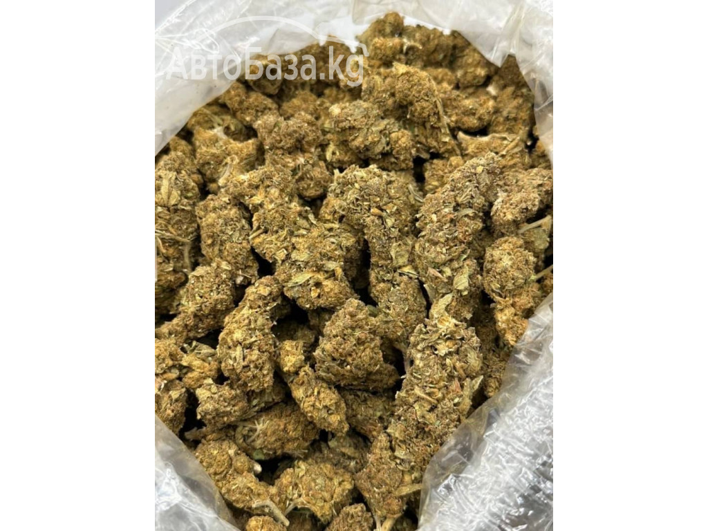 Buy Cannabis online in Europe