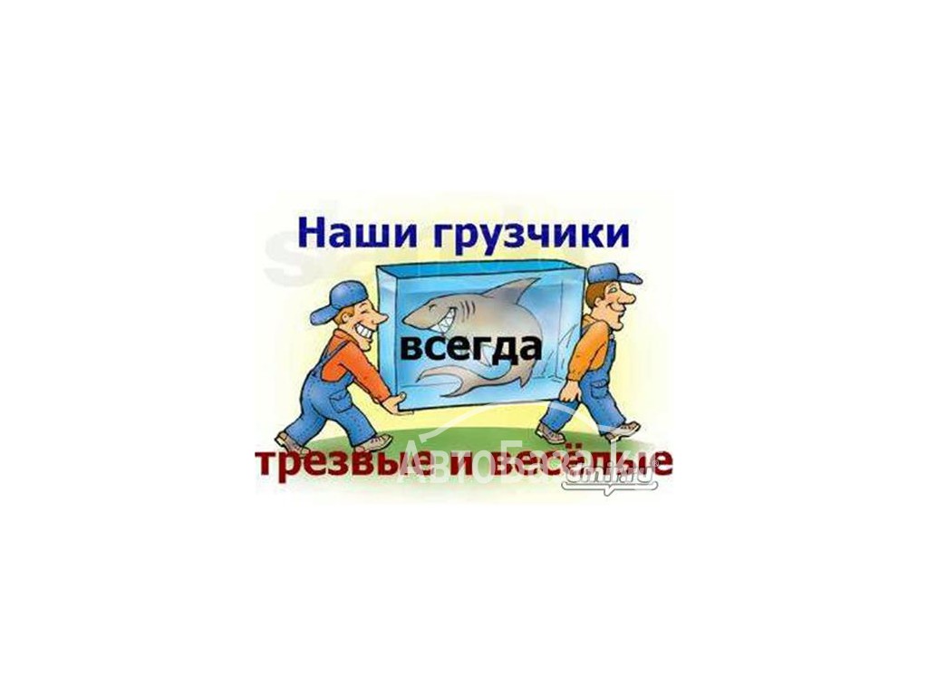 Портер такси в Бишкеке 0776868855