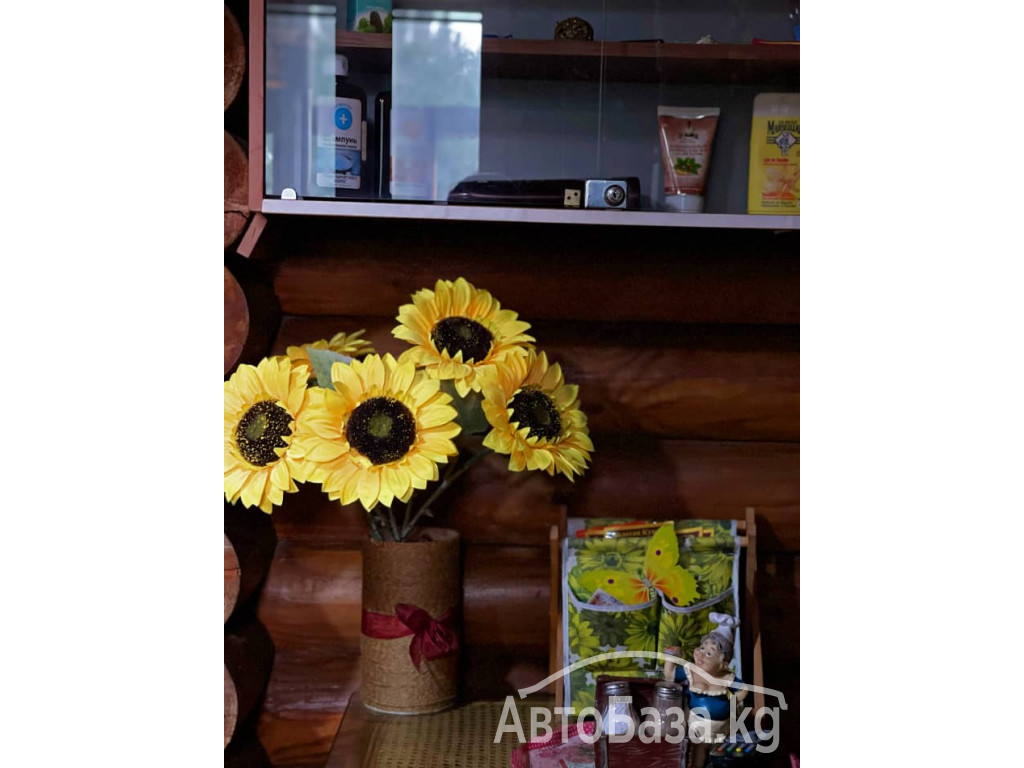 Чистая VIP русская баня классического предназначения 