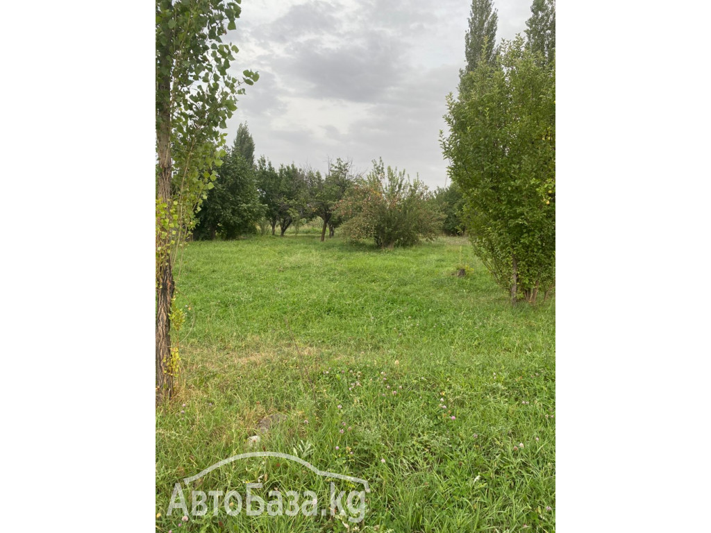 Продается участок в сокулукском районе. Село Шалта