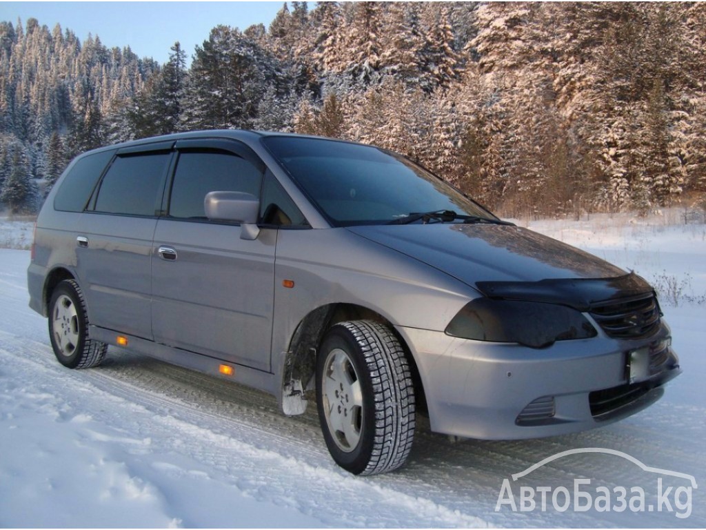 Прокат HONDA adyssey