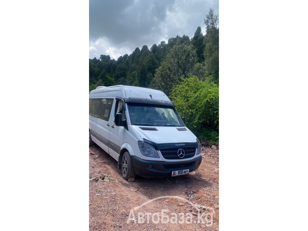 Бус на заказ. Аэропорт, Иссык-Куль, Международные перевозки, По городу